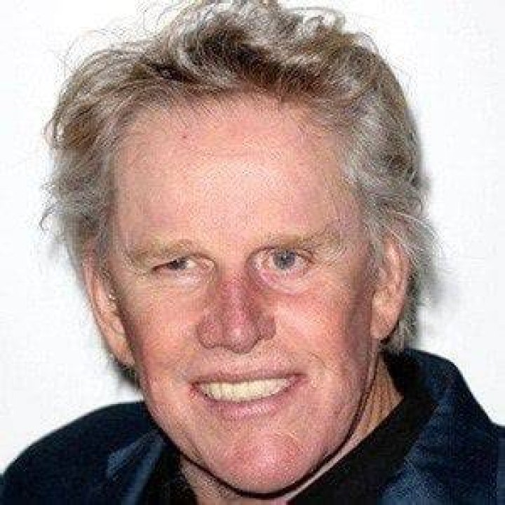 
Gary Busey Age, Birthday, Wikipedia, Who, Nationality, Biography 